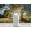Bild Belle 30 ml - 1000 ml // Thread 24/410 *STOCKED GOODS* 34