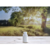 Bild Round bottle series PLAT // Thread 24/410 *ON STOCK* 7