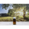 Bild WILBUR 50 ml - 1000 ml // Thread PFP 28 *ON STOCK* 23